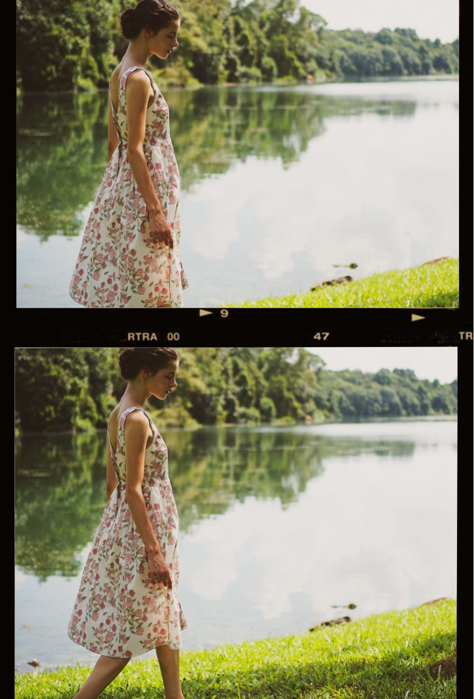 Backyard Cotton Dress in Roses and Cream