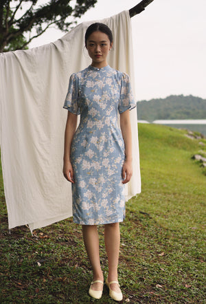 
                  
                    Favorite Oriental Cotton Cheongsam in Misty Morning
                  
                