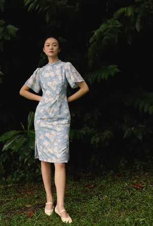 
                  
                    Favorite Oriental Cotton Cheongsam in Misty Morning
                  
                