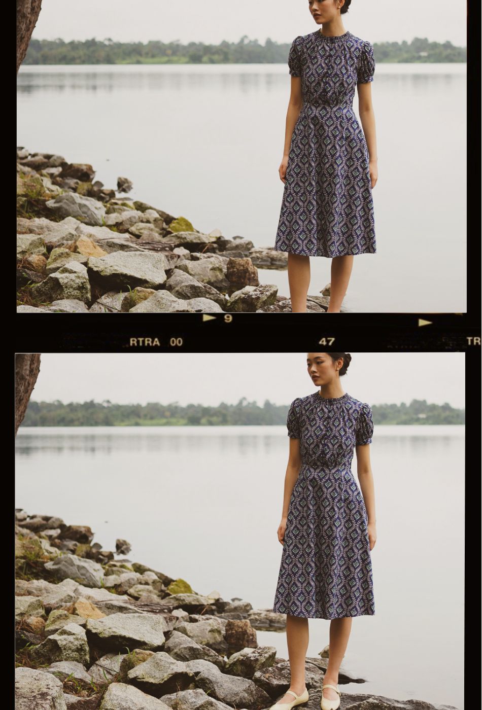 The Look of Love Cotton Dress in Blue Meadow