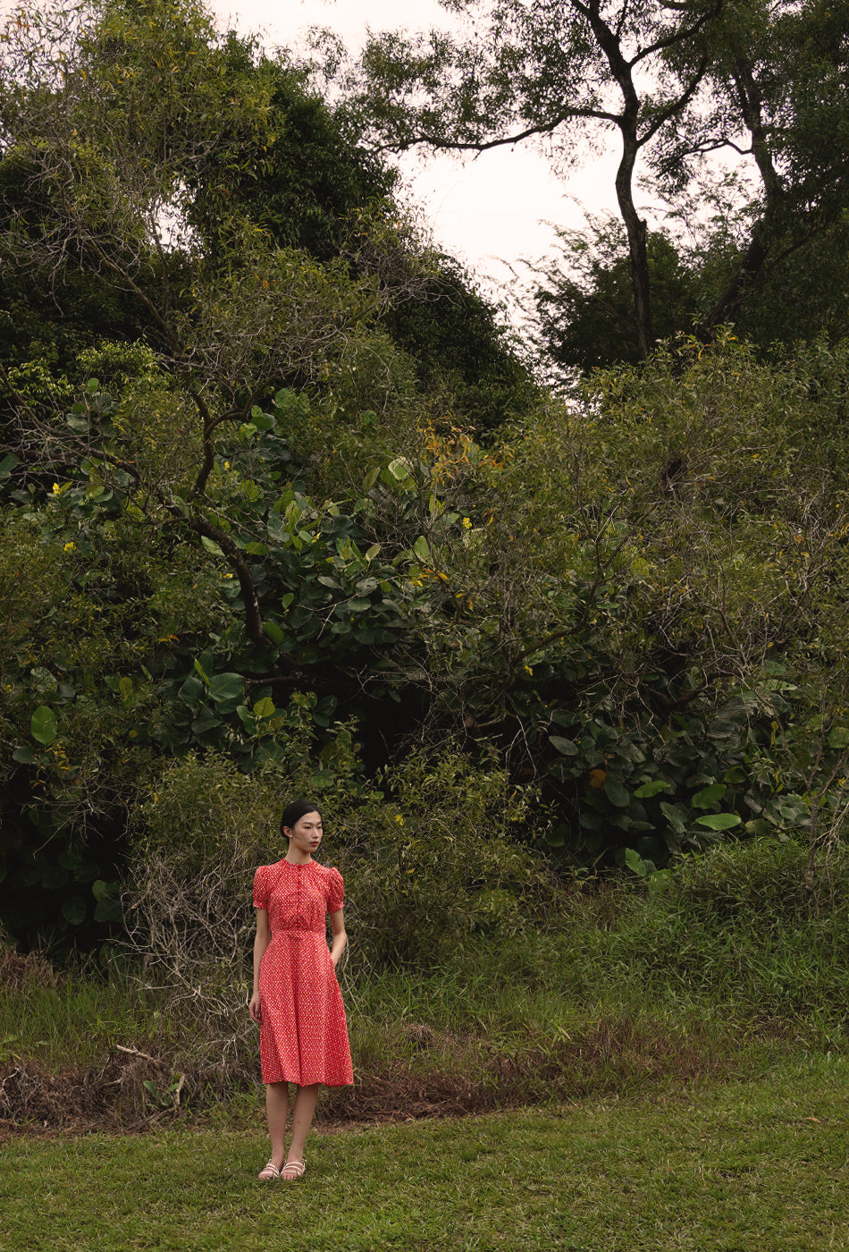 The Look of Love Cotton Dress in Red Romance