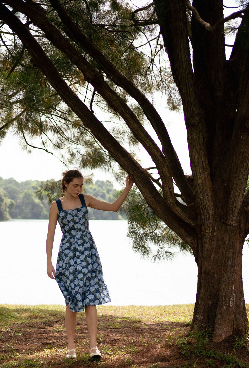 Golden Hour Cotton Dress in Blue Hydrangea