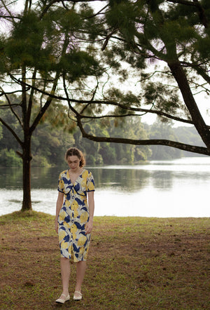 
                  
                    Honey, Honey Cotton Dress in Fresh Lemons
                  
                