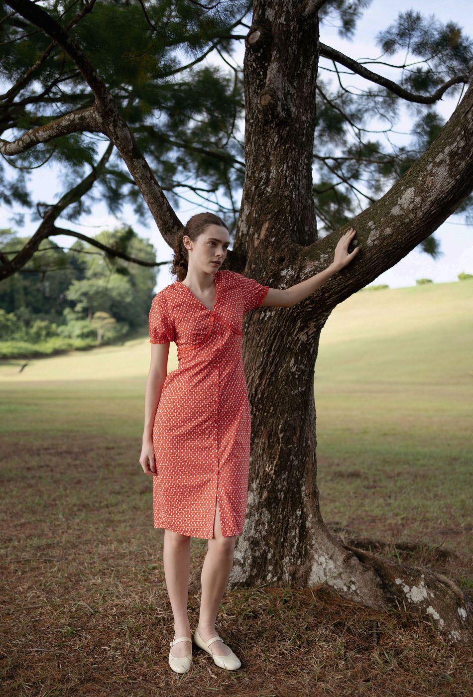 Honey, Honey Cotton Dress in Red Romance