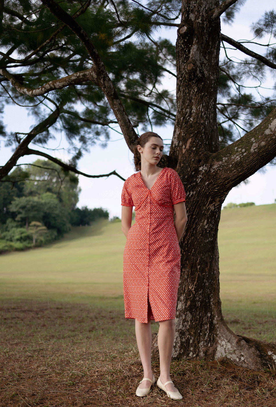 Honey, Honey Cotton Dress in Red Romance