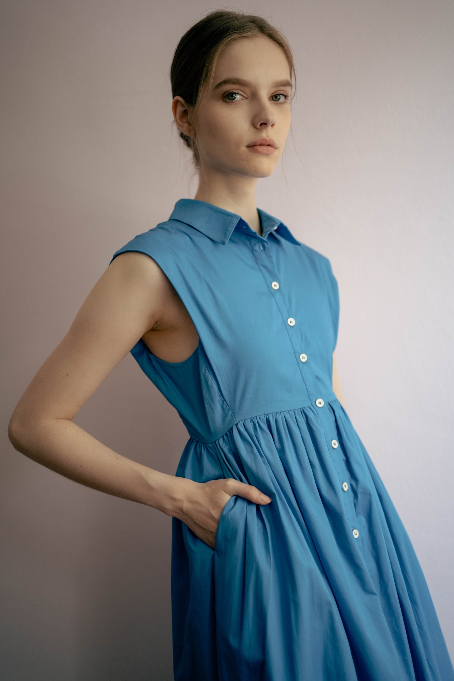 Memory Lane Cotton Dress in Blue