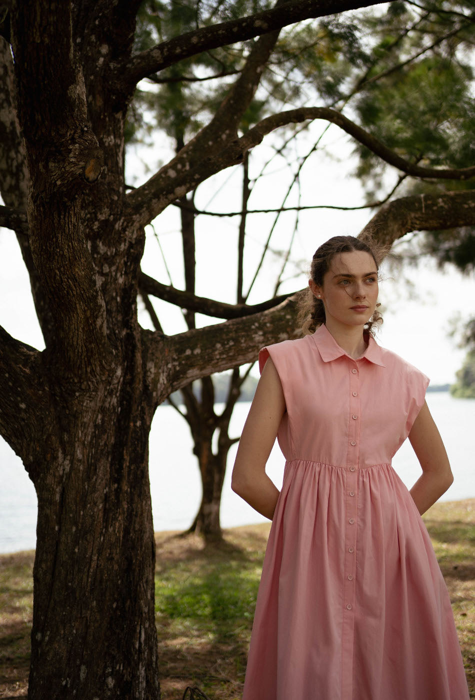 Memory Lane Cotton Dress in Pink