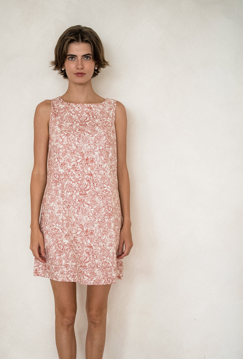 Pancakes for Dinner Cotton Dress in Red Vines